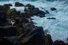 Kailua-Kona: Ocean, sea, rocks
