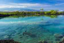 Kailua-Kona: nature, Ocean, tropical paradise