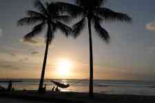 Kailua-Kona: Sunset, palm trees, hammock